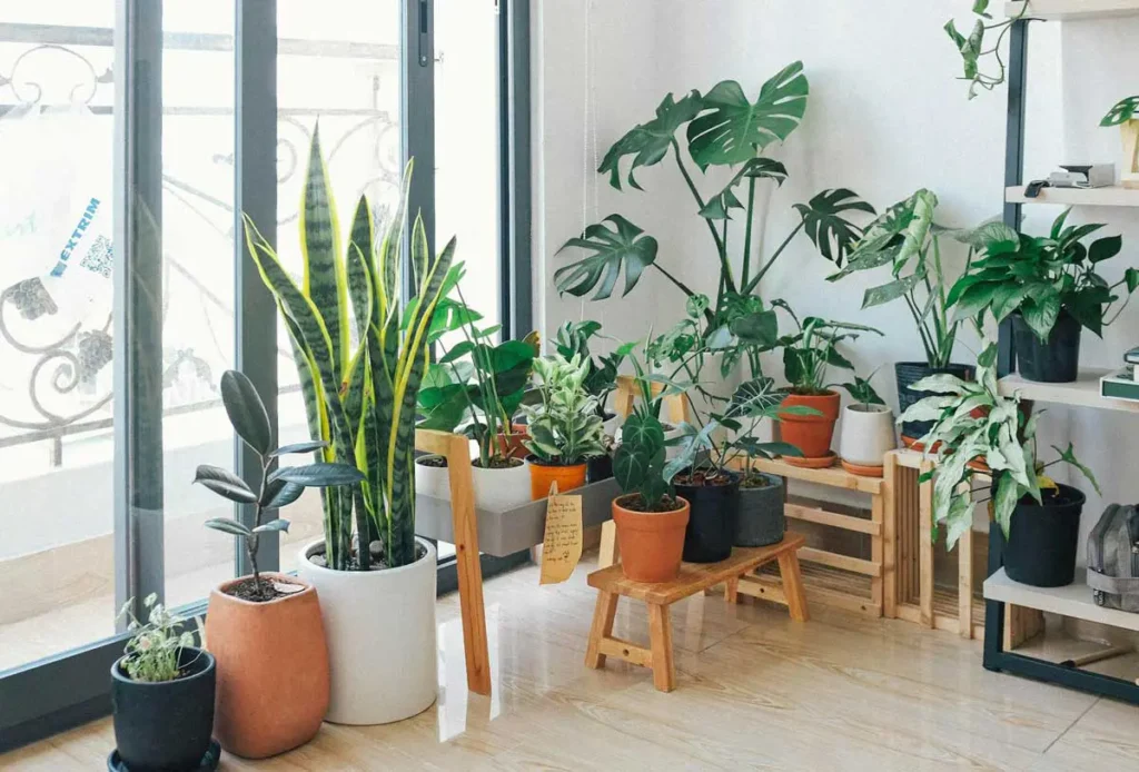How to Make Your Living Room Look Fancy 7